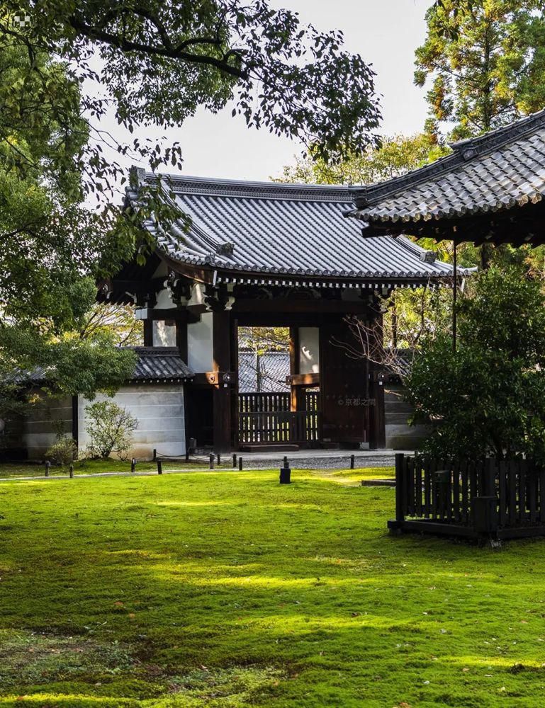 缪斯|青莲院:皇室贵族的修行圣地,文人画家的灵感缪斯