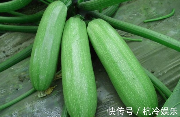 健康|长寿的老人从来不吃三种蔬菜,但他们是许多人餐桌上的常客!