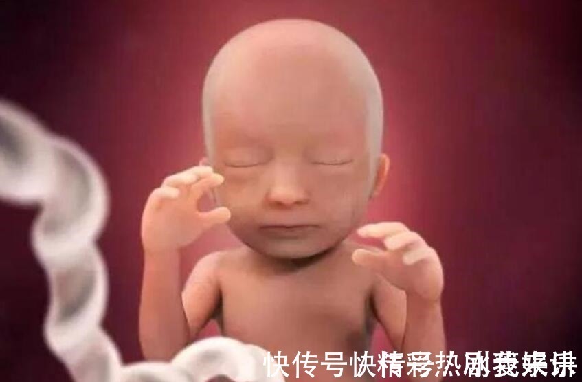 怀孕|怀孕5个月,如果孕妇遵循“四要三不要”原则,胎儿健康又聪明