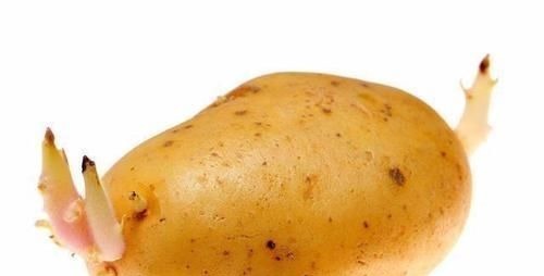 土豆不能和这些一起吃中毒伤身安全吃土豆，赶紧纠正“错误”