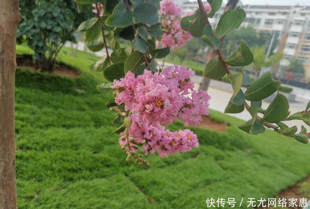 独处|《曾国藩家书》:静心独处有益于养生,舒缓心情可治疗失眠