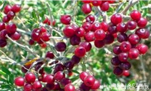 子宫|30岁女性常吃4种食物,袪斑养颜,排除体内毒素,预防子宫早衰