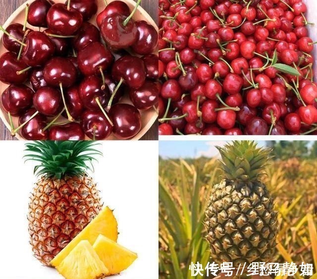 巴旦木|凤梨vs菠萝、樱桃vs车厘子、杏仁vs巴旦木这些食物是什么关系