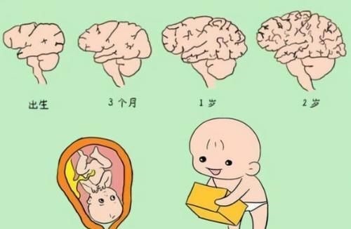 关键期|宝宝出生“头三年”很关键,家长做好这3件事, 孩子会很聪明
