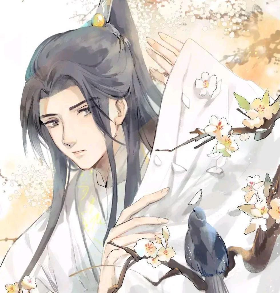皓衣行|《二哈和他的白猫师尊》实体书换了新名,退网的肉包,终于回来了