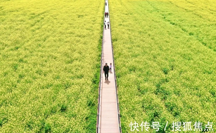 低密|楼市寒冬的一抹亮色:万科西庐别墅区连续两年热销50亿