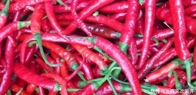 二荆条辣椒5种最好吃的做法,简单美味又过瘾,看看你喜欢吃不?