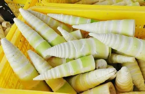  中国特色美食——广东——清远