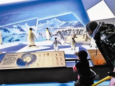 老年|春节“嗨”游生态城