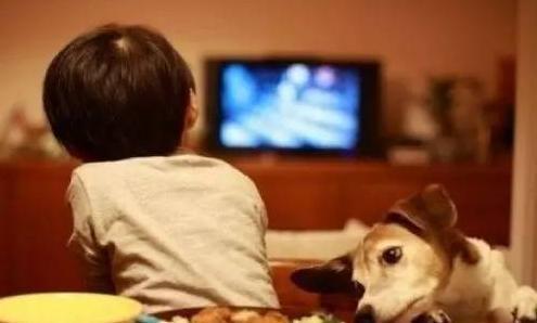 凤九|宝妈沉迷追剧,给娃取名“凤九”,宝爸听后:我这姓,合适吗?