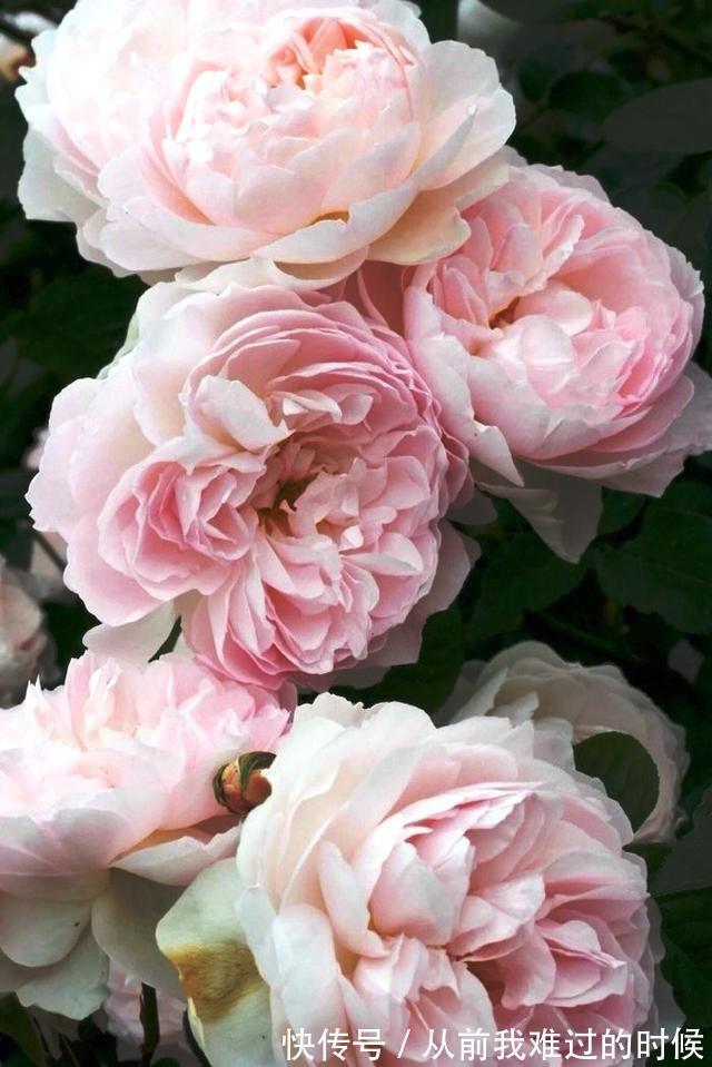 警世名言!醒悟人生的警世名言,睿智透彻,句句中肯实用