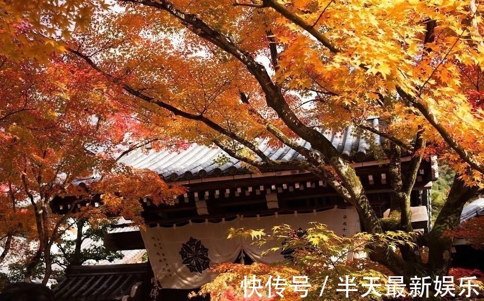 在家人&势不可使尽,福不可受尽,规矩不可行尽,好语不可说尽