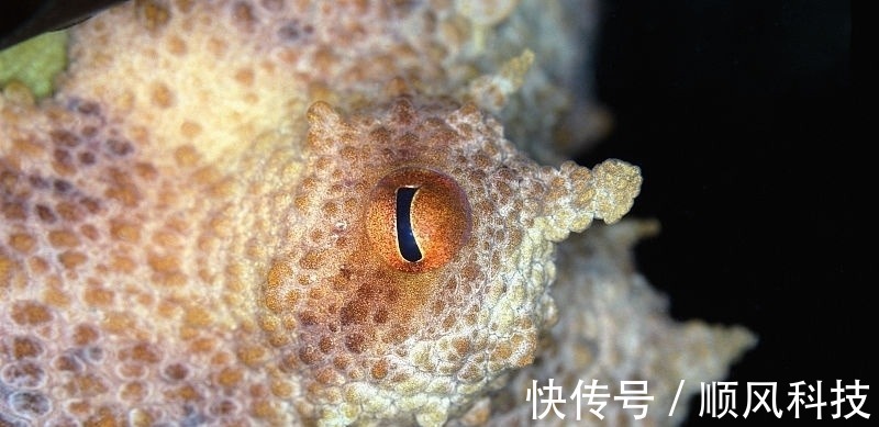 28个冷知识：真实存在于这个世界，全知道的人很少