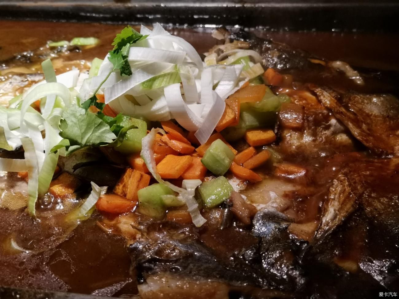 一万年前吃烤鱼一万年后吃探鱼