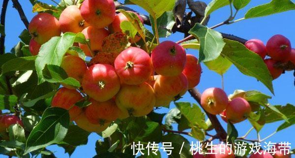 花生酸|女性担心老太快,要多吃三种食物,美容养生,好处多多