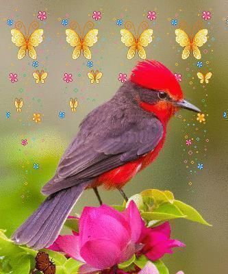 人心&良言20句,见证人心,看透人性看一次胜读十年书