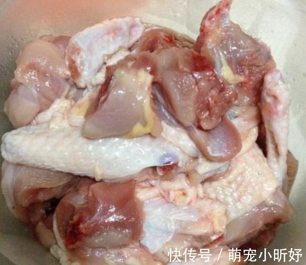 补气养血|当归炖鸡,你做对了吗?汤鲜肉烂,香气四溢,补气养血滋润容颜