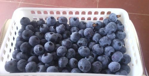 蓝莓|赘肉“害怕”的几种食物,每天换着吃,刮油消脂,轻松甩掉大肚腩!