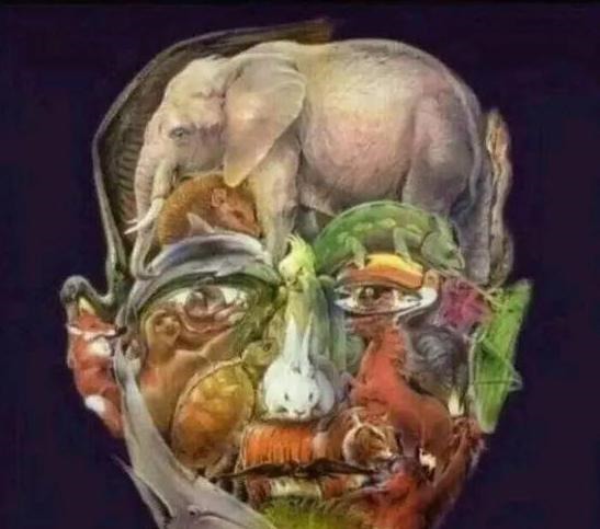 权威|老年痴呆权威测试只要你能在这张图中找到骆驼,痴呆离你还很远