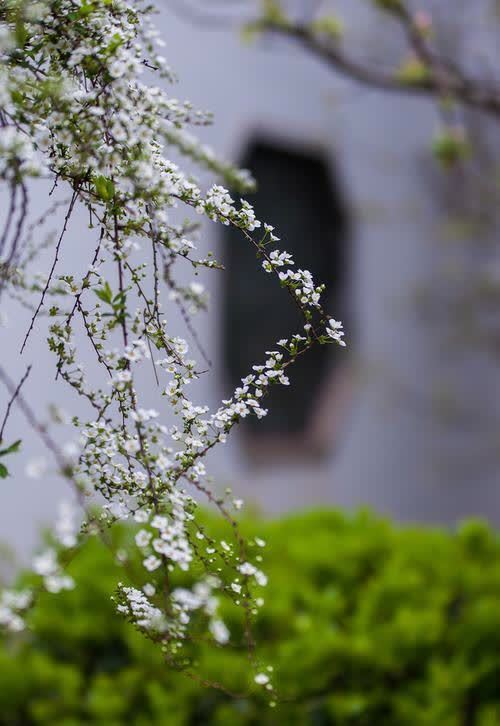 时光!二月,用心情映衬春景,用美好编织时光