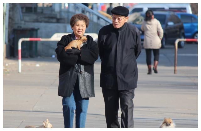 血脂异常|散步可以降血脂？医生：坚持3点，或比运动有效，血脂慢慢降下来