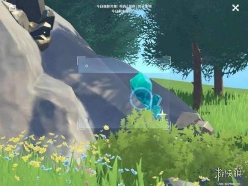 蒲公英 原神蓝色照片在哪里拍?蓝色照片采集物生物分布位置一览