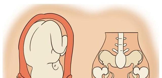 准妈妈|为何生娃有人快有人慢？影响产妇分娩原因有很多，了解一下涨知识