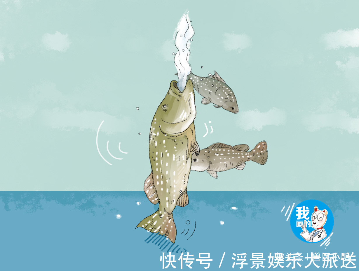 小明|男子打算给鱼缸换水,却发现其中一条鱼行为不正常有什么心事吗