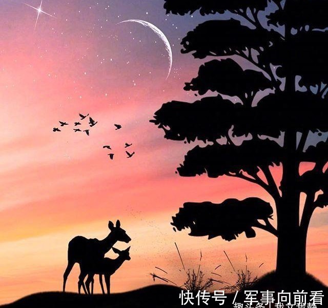 户口本|妻子怀孕五个月男人要求实行AA制,孩子生下来全家后悔了