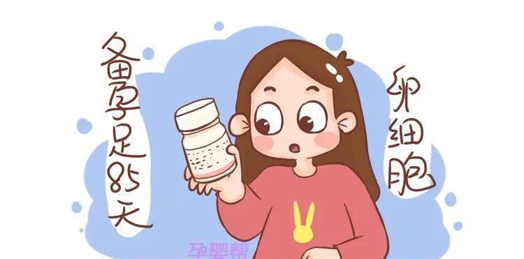 卵细胞|备孕需要3个月时间准备,这是为什么呢?