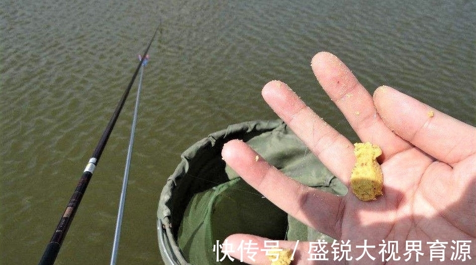 定海神针|钓鱼浮漂一直没信号，不是水里没鱼，而是有些细节没做好