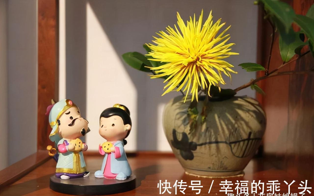 天气变冷,养花出现异状不要慌,原因都在这里,你都做对了吗?