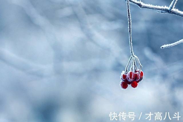 雪夜$看看10位名家笔下的雪景,太经典了!