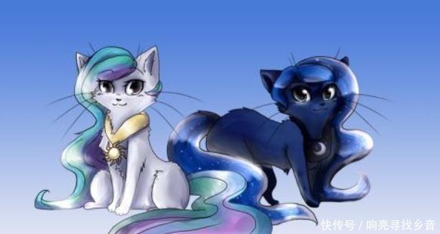 主角|小马宝莉当主角团猫化后,云宝超可爱,萍琪派太兴奋!