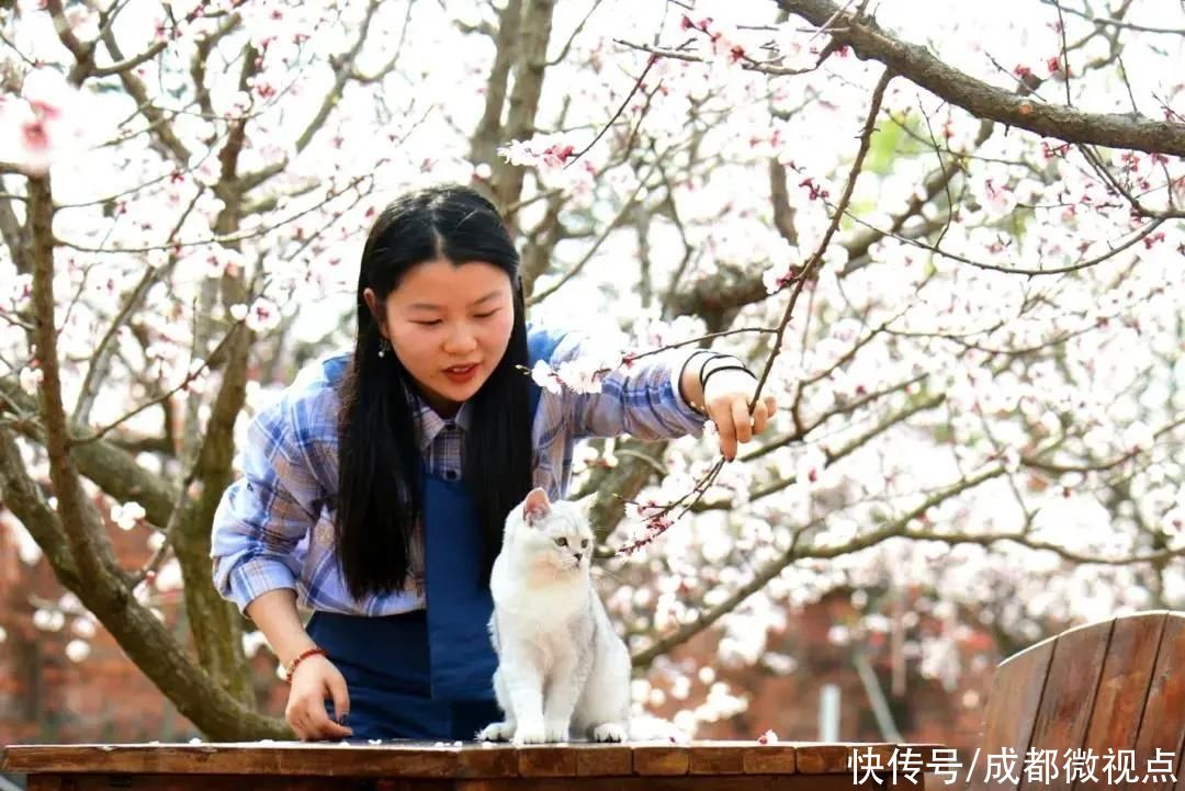 龙泉山第一波春花，来赏