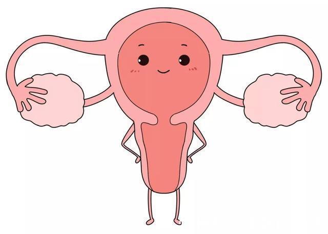 中国女性|为什么中国女性患有妇科疾病的人越来越多?与什么原因有关?