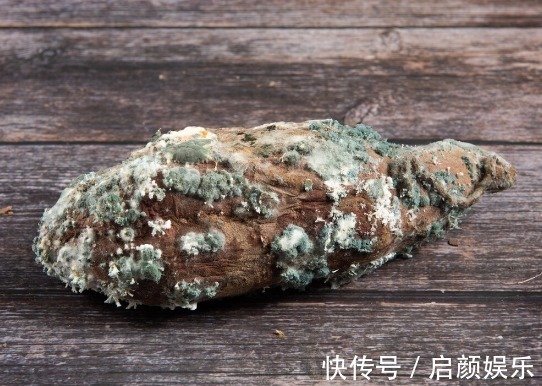 营养成分|食物发芽后有剧毒不能吃有些不仅能吃,营养价值还会变高