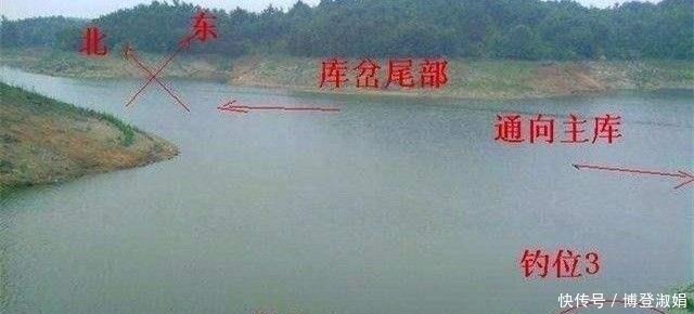 冬季|冬季阴天,鱼都藏三个“特殊”位置,只有老手才懂