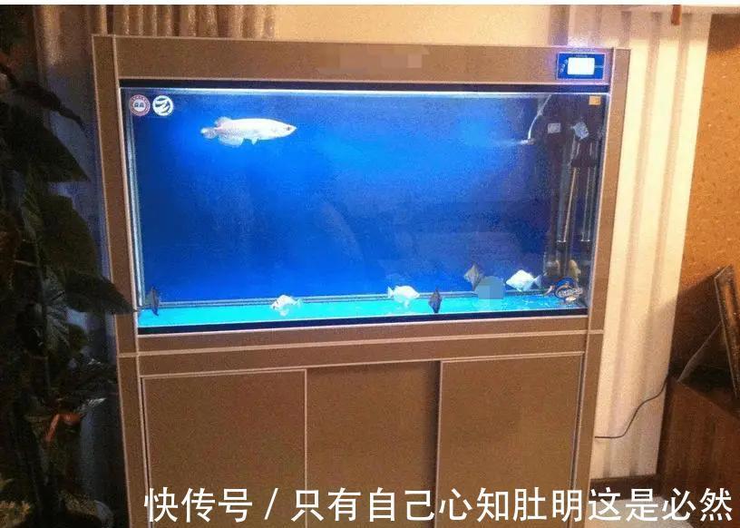 踢脚线|强忍泪水写下装修11大憾事,尤其是第4件,要装新房的务必先看!