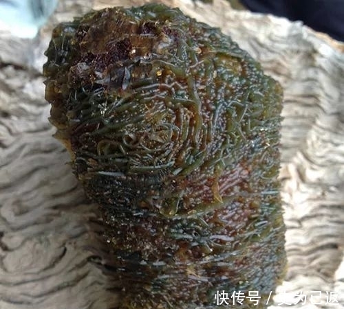 石种|什么新石种?这些线团竟然是天然的石头!难以置信!