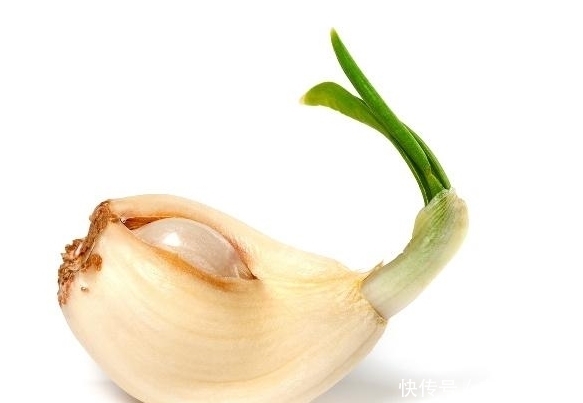 土豆|告诉家人:2种蔬菜长芽后营养价值会更高,扔掉就浪费了