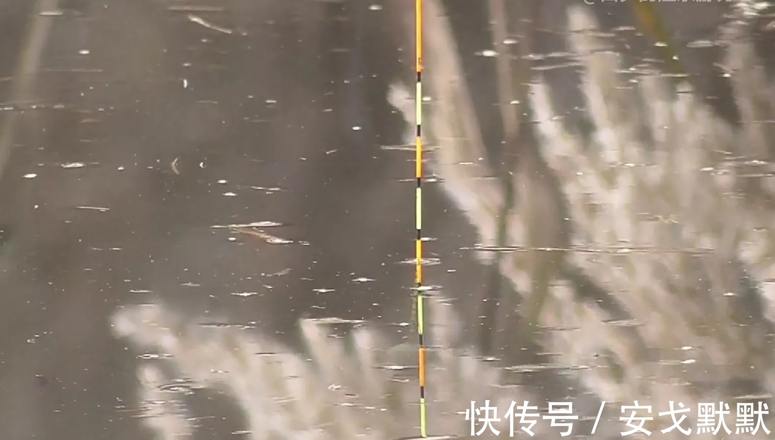 鱼口|我为啥钓不过他?不是技术、窝饵的问题,答案在于他的三个做法