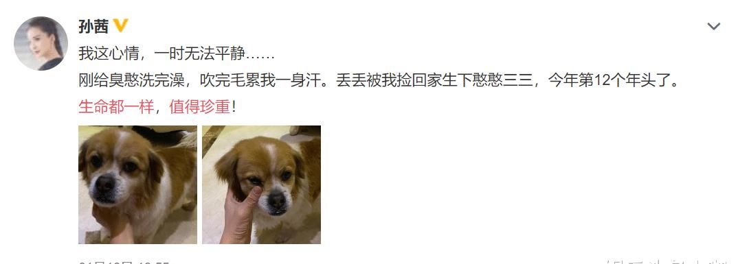 公开互撕!节目上都不装了?