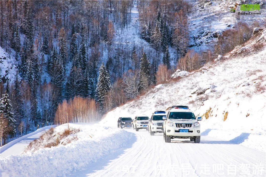 自留地|神的自留地，冬天的喀纳斯！美过北欧的它，才是雪景颜值的天花板