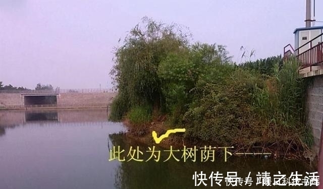 钓位|这里的五个地方堪称“黄金宝座”，夏季钓鱼不能错过