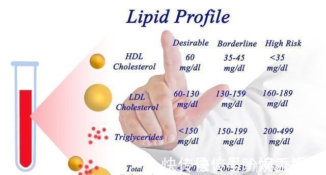 胆固醇|医生血脂这么降最快,2个月甘油三酯降到3.7,高血脂不攻自破