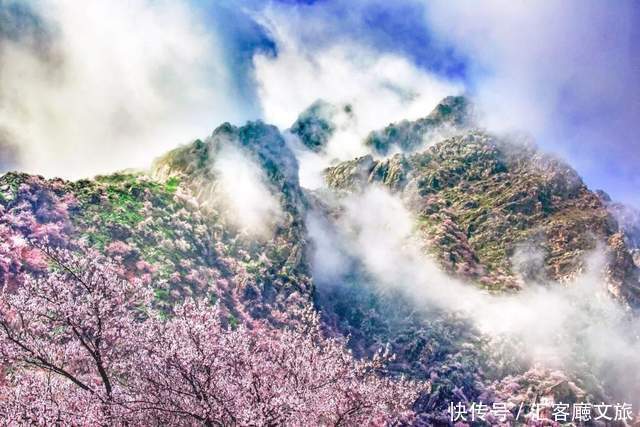 老年|在新疆伊犁杏花香雪里，等待杏花微雨中遇见你，从此一眼千年