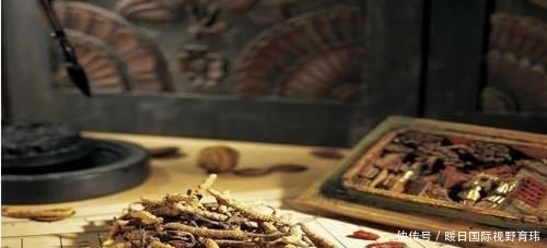 德国大学教授如此评价中医,令无数中国人汗颜