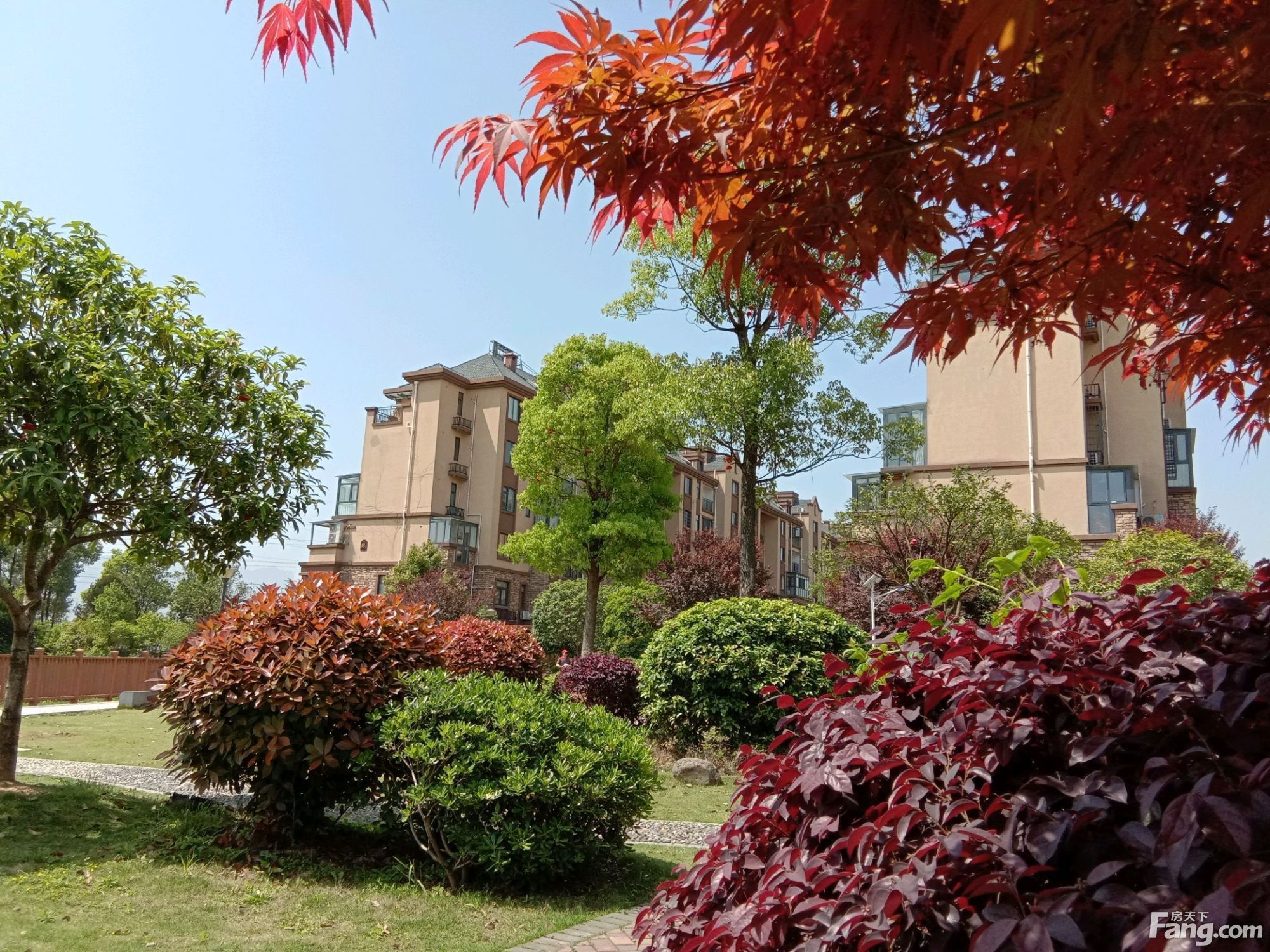 澜庭|想看张家界永定区楼盘的最新现场实景，选房一定要看