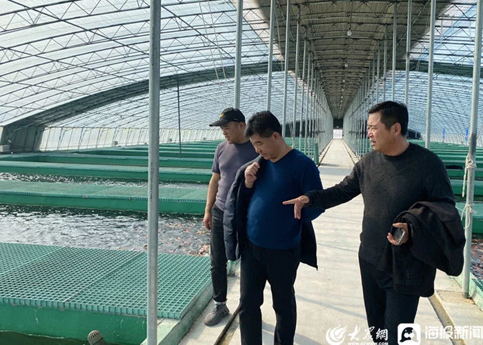 河口区河口街道盘活闲资源养起致富虾 河口区河口街道盘活闲资源养起致富虾